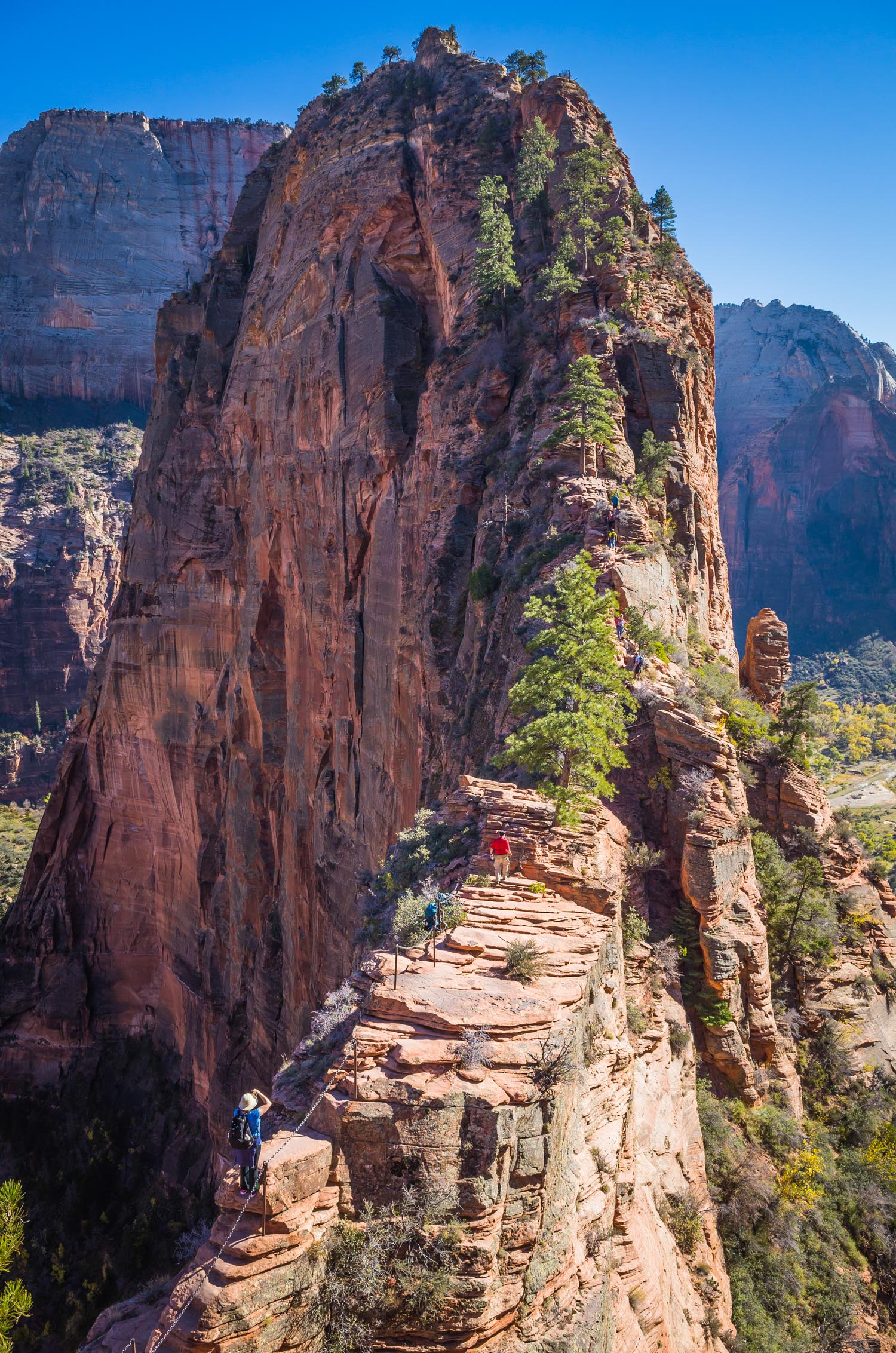 hikers climbing Angel Landing precipitous path Zion Canyon National Park Utah